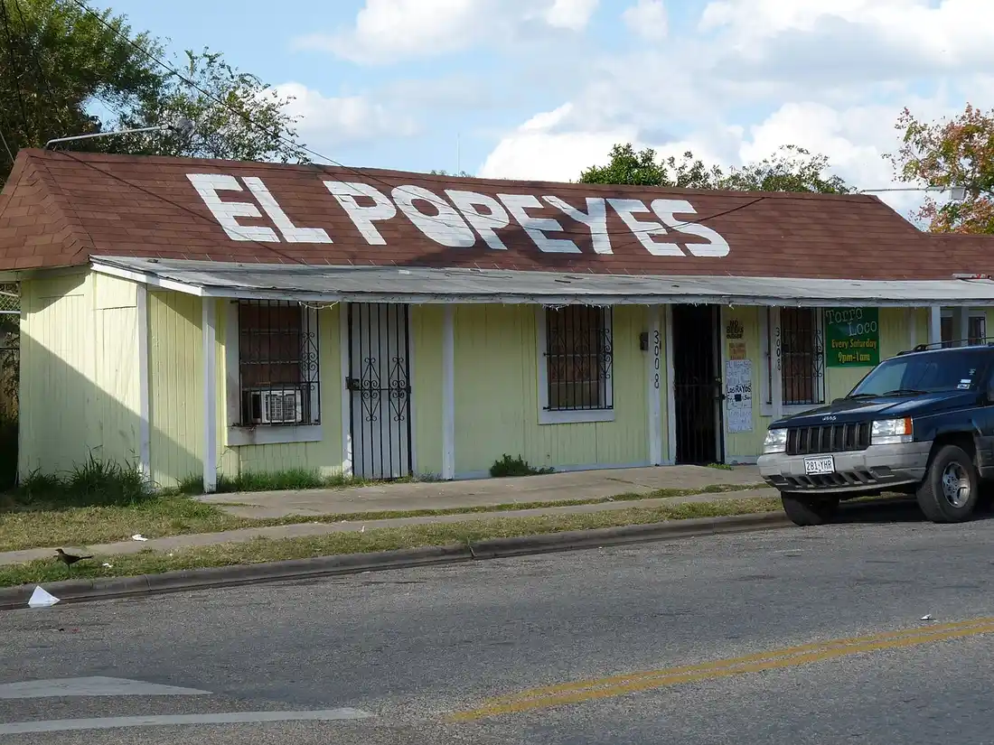 Pest control in Central Corpus Christi