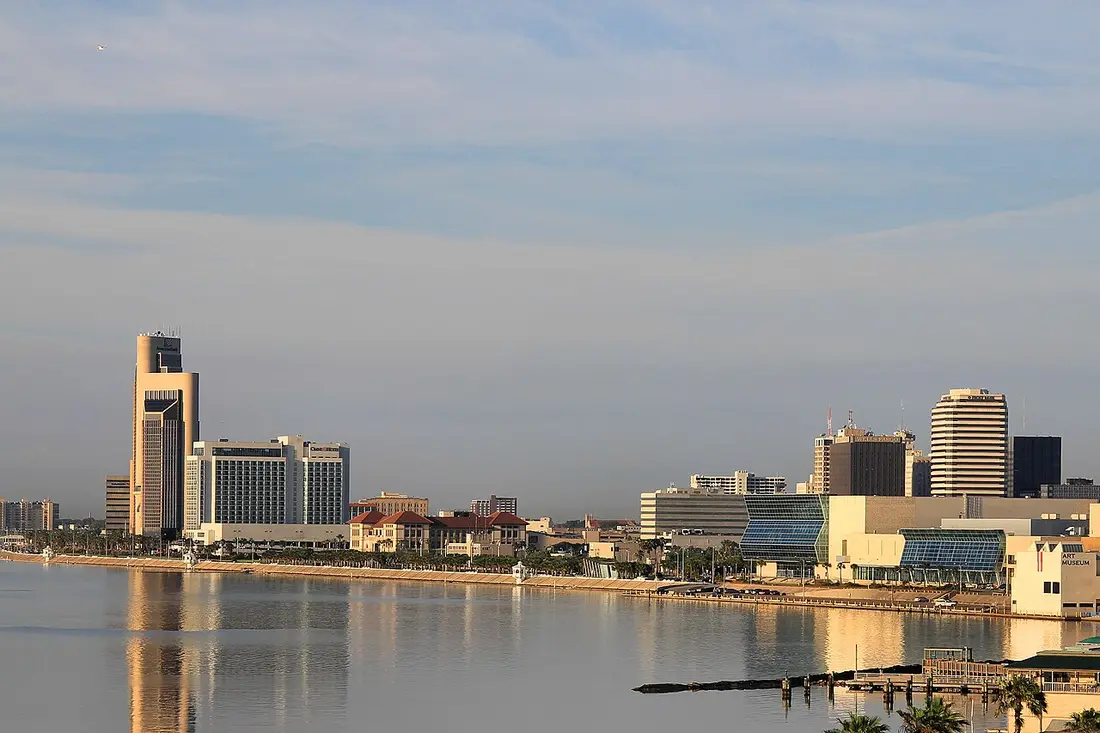 Pest control in Northwest Corpus Christi
